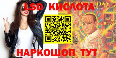прущие грибы Будённовск
