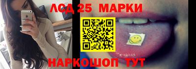 прущие грибы Будённовск
