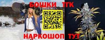 прущие грибы Будённовск