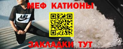 прущие грибы Будённовск